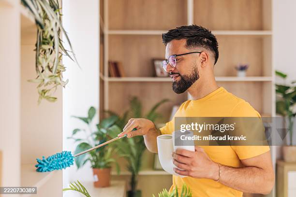 man cleaning shelves and holding plant pots in living room - man dusting stock pictures, royalty-free photos & images