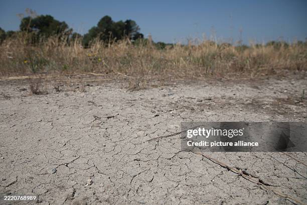 Ariany 12 Ariany Spain Stock Photos, High-Res Pictures, and Images - Getty Images