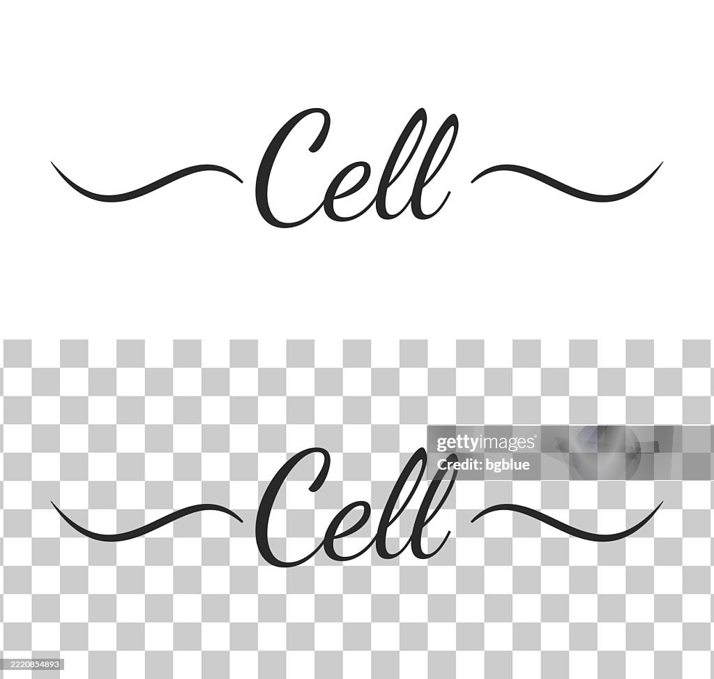 Cell - Calligraphy text with swashes on blank background
