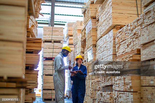 blue collar workers are working at wood factory. - lumberyard stock pictures, royalty-free photos & images