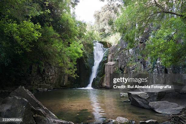 mourao river waterfalls, sintra - agua estancada fotografías e imágenes de stock