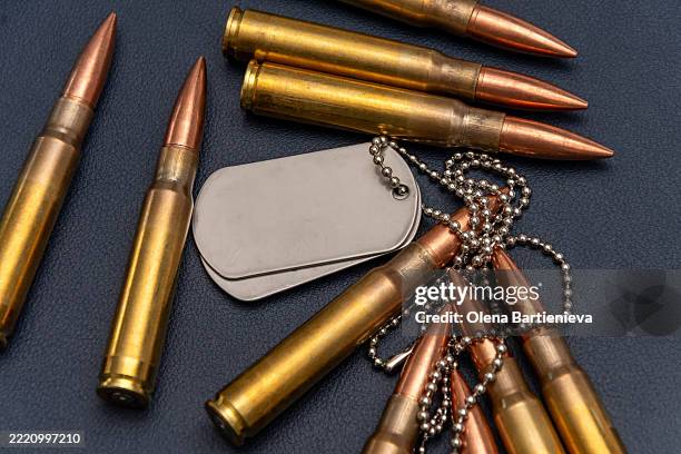 Close-up of ammunition and two metal army badges. The composition conveys the themes of the armed forces and veterans.