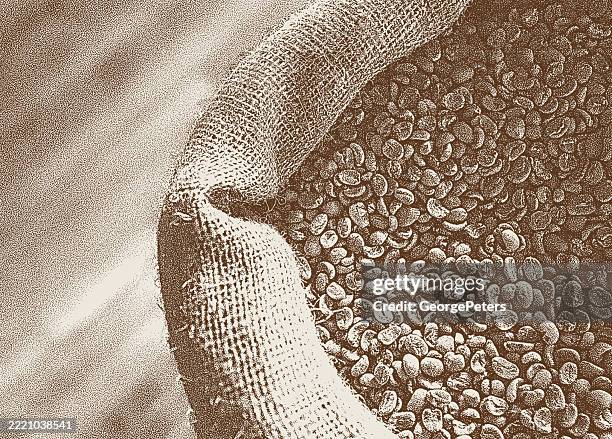 raw coffee beans in burlap sack - coffee beans top view stock illustrations
