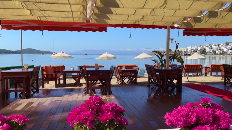 https://media.gettyimages.com/id/2221045473/video/charming-beach-bar-terrace-with-vibrant-pink-flowers-overlooking-the-clear-blue-sea-with.jpg?b=1&s=640x640&k=20&c=r_Xl1LDHSdejwQ-q4WaZW8FX1e6E7R2VkTUtEKL5acg=