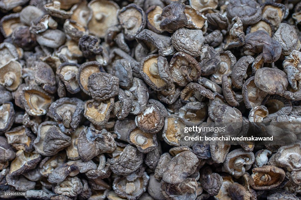 Selective focus on the fresh shiitake mushrooms at the top of them