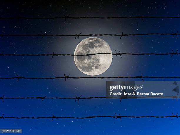 night sky illuminated by the full moon with the silhouette of a barbed wire fence. - moon and stars border stock pictures, royalty-free photos & images