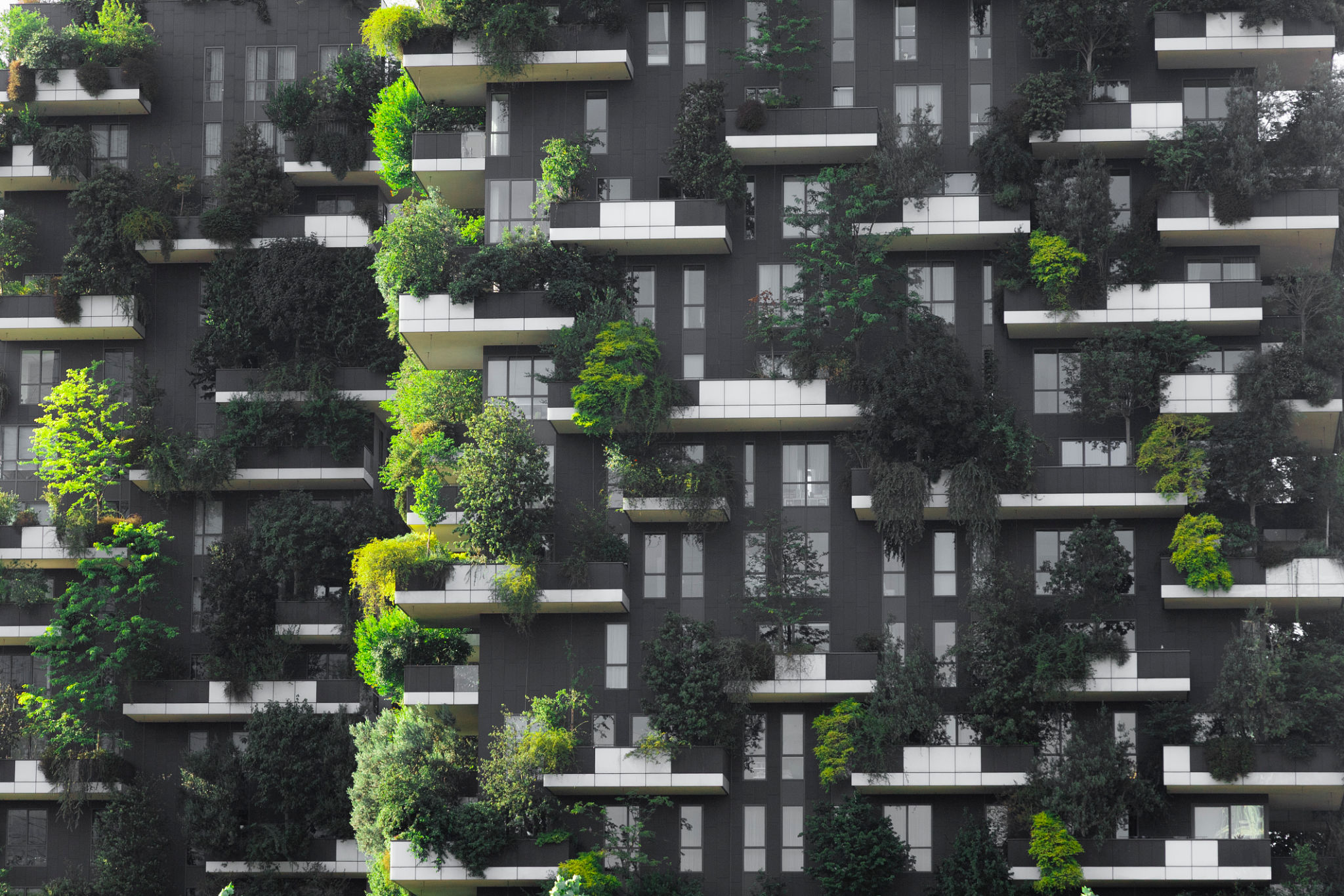 vertical garden design