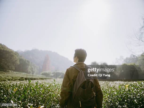 a young asian man standing in tea plantation in the valley - hangzhou stock pictures, royalty-free photos & images
