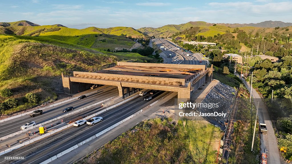 Wallis Annenberg Wildlife Crossing