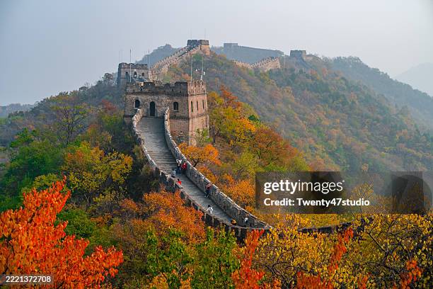 beautiful autumn scenery at the mutianyu section of the great wall of china - pékin photos et images de collection