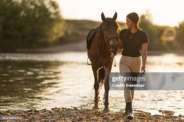 woman with her horse crossing river at sunset - horse stock pictures, royalty-free photos & images