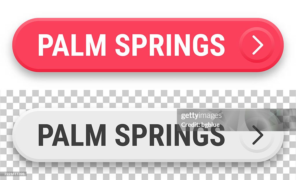 Palm Springs - 3D clic sur les boutons Web sur fond vierge