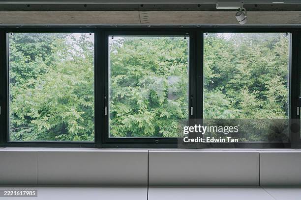vista panoramica della finestra con fogliame verde da interni moderni - davanzale foto e immagini stock