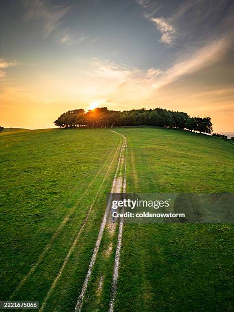 aerial view of woman hiking at chanctonbury ring at sunset on south downs in sussex, england - south downs national park stock pictures, royalty-free photos & images