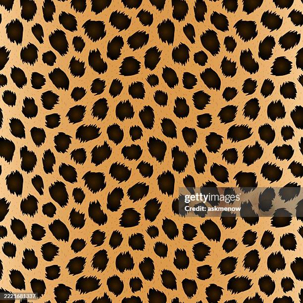 leoparden-print - gepardenfell stock-grafiken, -clipart, -cartoons und -symbole
