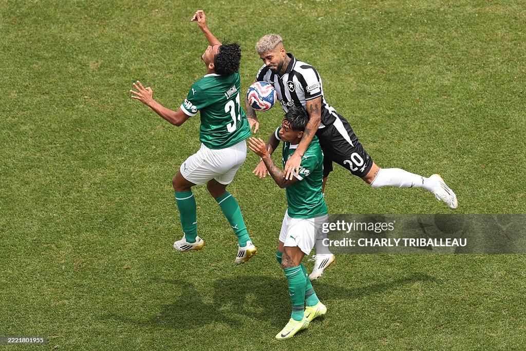 FBL-WC-CLUB-2025-MATCH49-PALMERIAS-BOTAFOGO