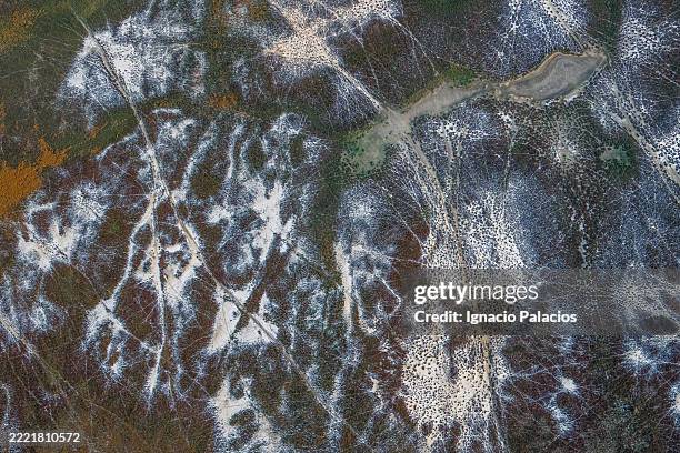 aerial view , roebuck bay, broome, western australia - roebuck bay stock pictures, royalty-free photos & images