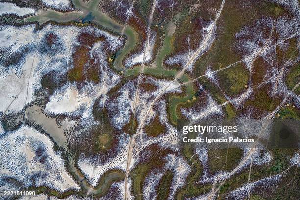 aerial view , roebuck bay, broome, western australia - roebuck bay stock pictures, royalty-free photos & images