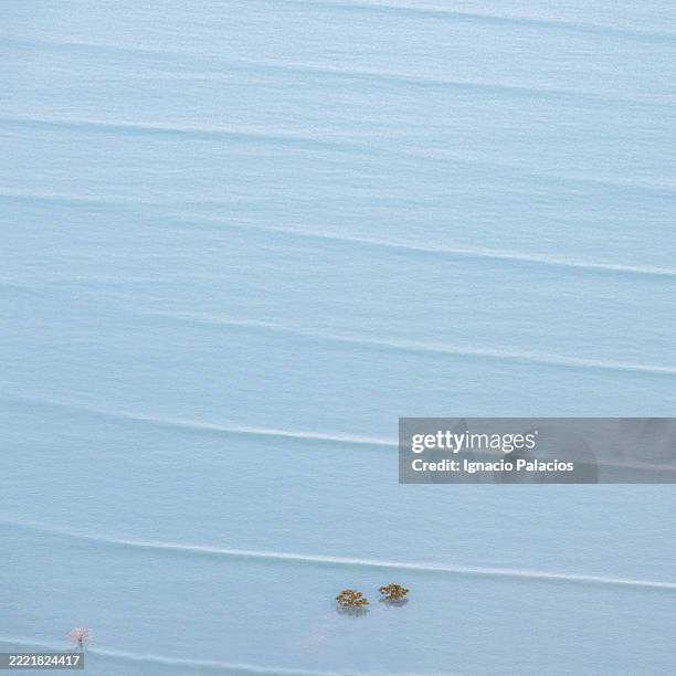 broome roebuck bay coastline (aerial), western australia - roebuck bay stock pictures, royalty-free photos & images