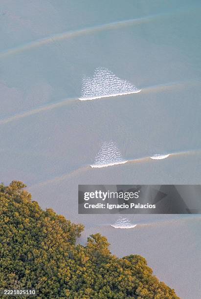 broome roebuck bay coastline (aerial), western australia - roebuck bay stock pictures, royalty-free photos & images