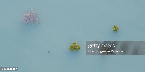 broome roebuck bay coastline (aerial), western australia - roebuck bay stock pictures, royalty-free photos & images