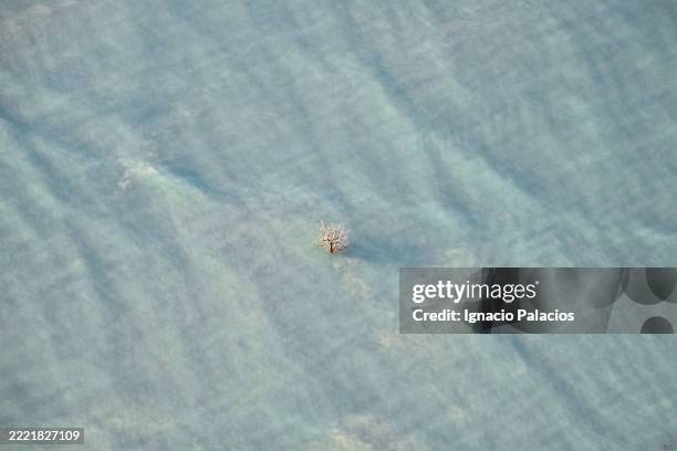broome roebuck bay coastline (aerial), western australia - roebuck bay stock pictures, royalty-free photos & images