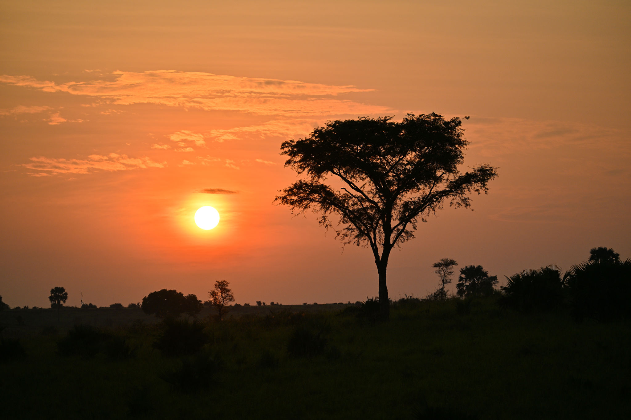 uganda landscape