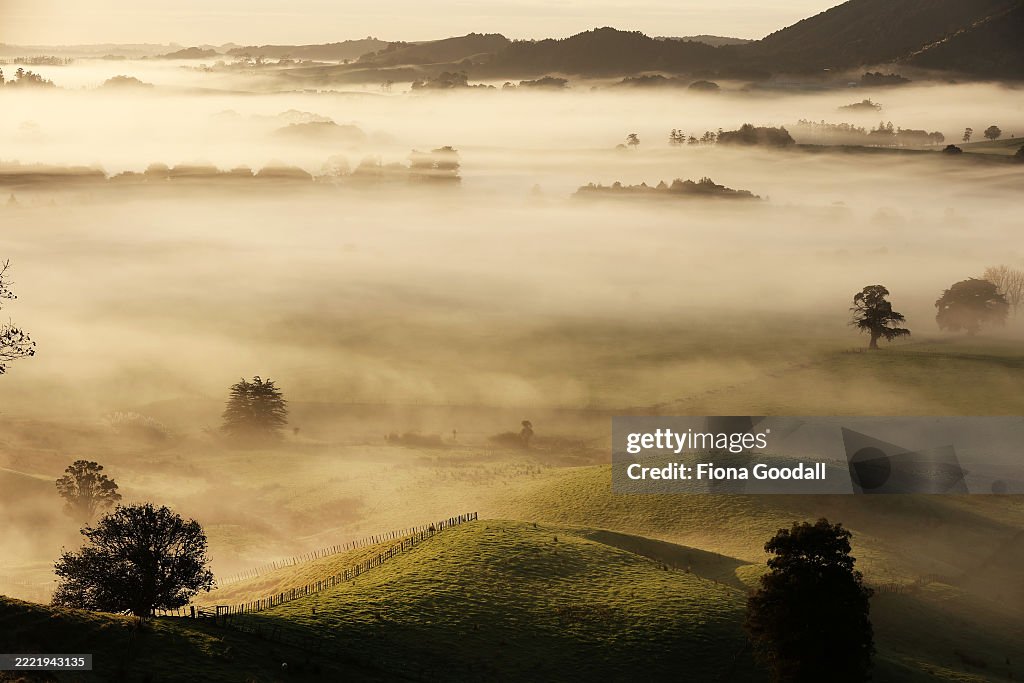 Fog in rural Auckland