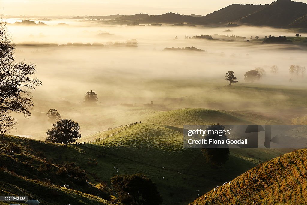 Fog in rural Auckland
