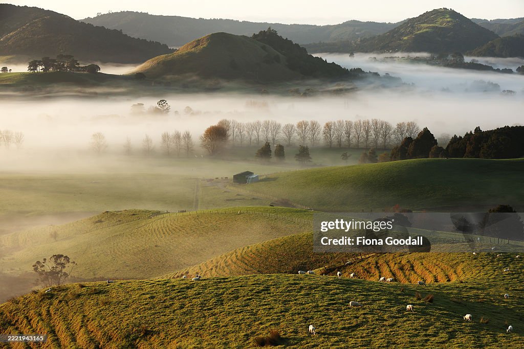 Fog in rural Auckland