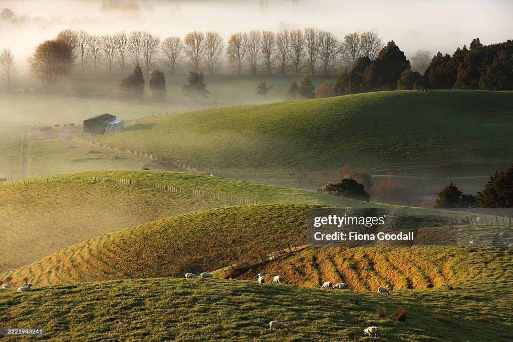 Fog in rural Auckland