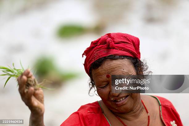 Khemta Ropain 131 Ropain Stock Photos, High-Res Pictures, and Images - Getty Images
