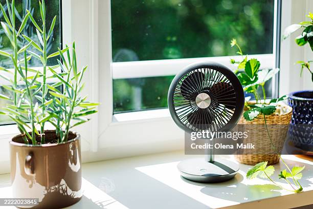 modern table fan on windowsill surrounded by potted green plants - hand fan stock pictures, royalty-free photos & images