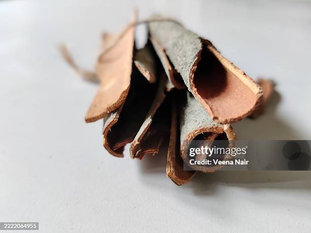 2,747 Therapeutic Cooking Stock Photos, High-Res Pictures, and Images ...