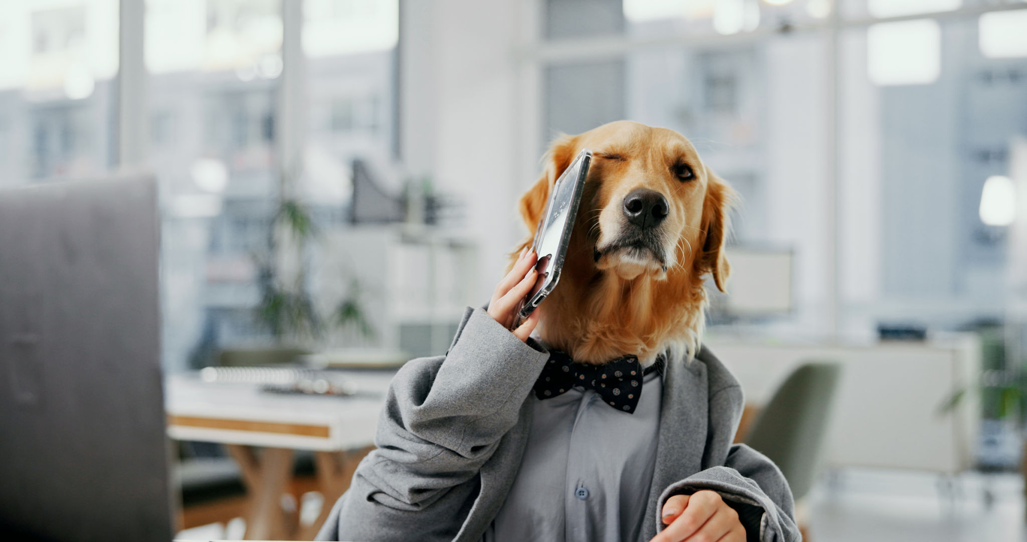 health insurance broker