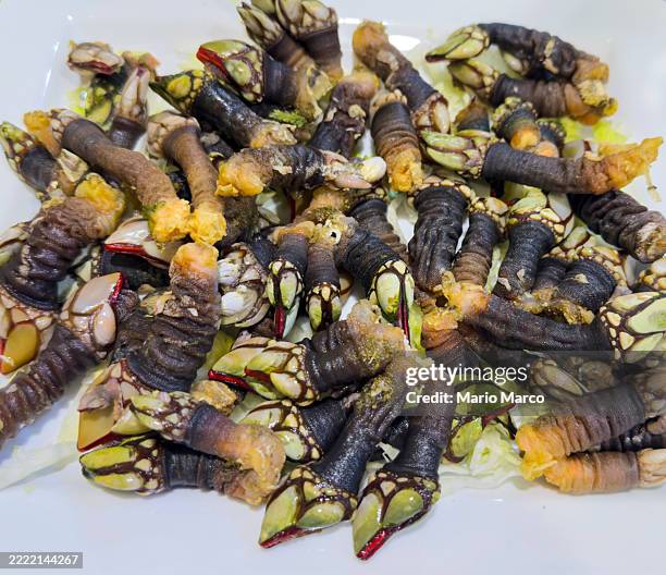 Barnacles Rice 64 Barnacles Isolated Stock Photos, High-Res Pictures, and Images ...