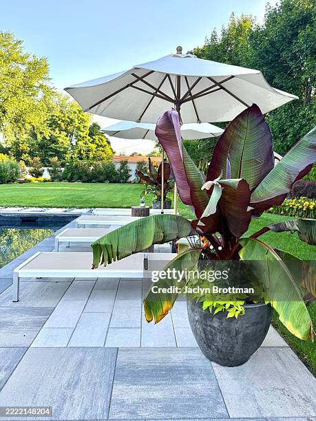 backyard pavers