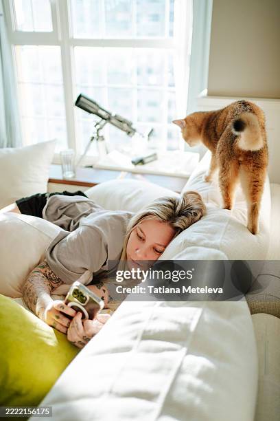 Morning Pet Interruption Energetic Cat Distracting Sleepy Woman From Screen In Bed, Stockfoto