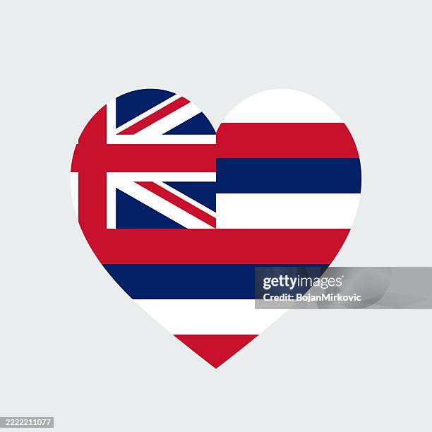 hawaii heart flag. vector - heart border stock illustrations