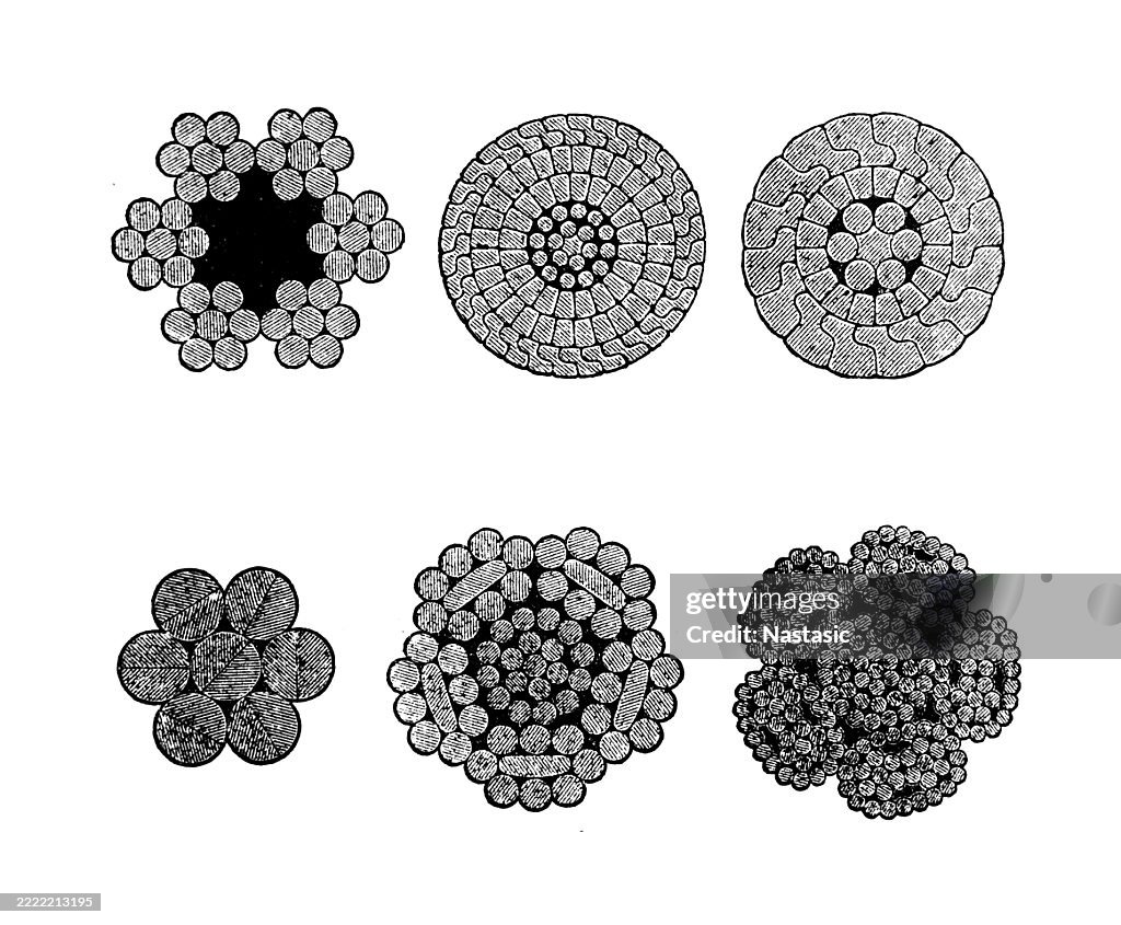 Multi Core Rope Cross Section Crosssections Of Cable Wire Ropes High-Res Vector Graphic - Getty Images
