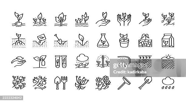 botany hand drawn minimalist doodle line icon set. hand sketched elements for creative use. planting, agriculture, farming, seed, cultivation, harvesting. - agriculture fertilizer stock illustrations