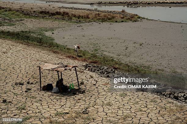 Kurdish man sits under a small makeshift canopy beside plastic bottles and a cooler near Lake Dukan in Ranya, Iraq, on June 30, 2025. The drought has...
