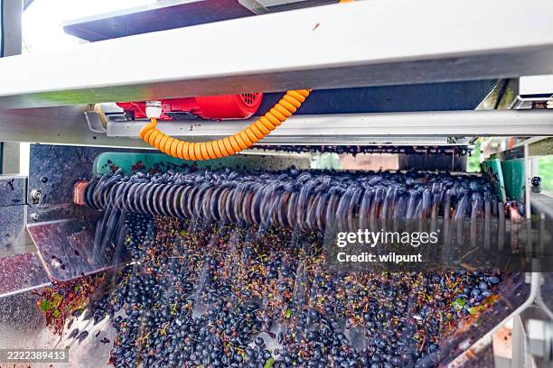 grape destemming machine showcasing modern wine production process - wine press stock pictures, royalty-free photos & images