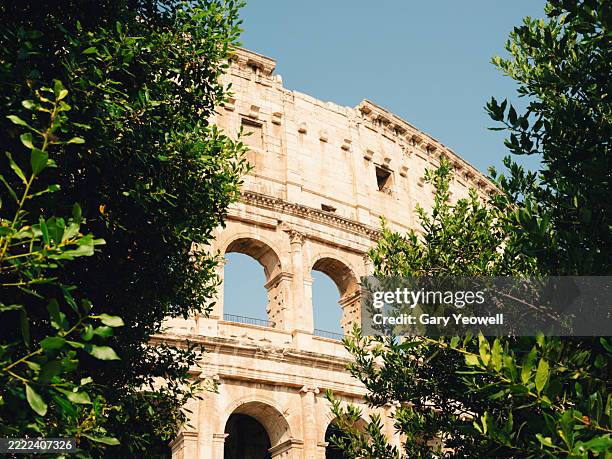 low angle view of the colosseum in romeseen through trees - empire stock pictures, royalty-free photos & images