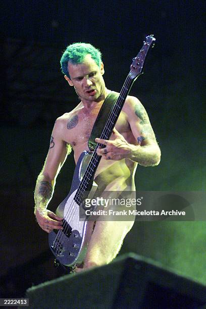 Red Hot Chili Peppers bassist Flea performing on the east stage Sunday, July 26th at Woodstock '99 at Griffiss AFB in Rome, New York. There are over...