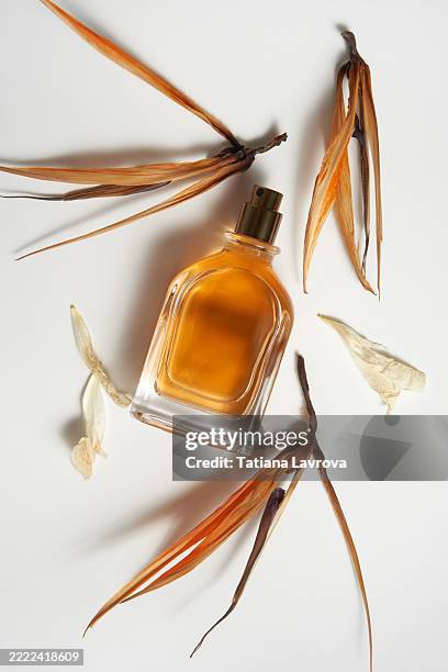 a bottle of orange perfume with dry flower petals on white background. - aromaöl stock-fotos und bilder