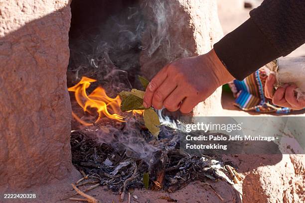 Coca Ritual 1,131 American Indian Deities Stock Photos, High-Res Pictures, and ...