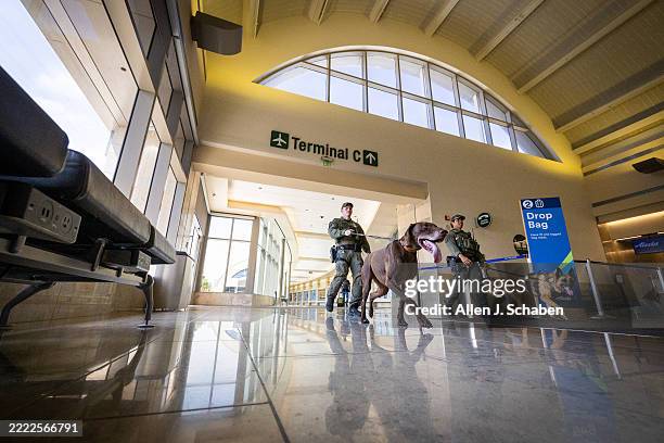 Santa Ana, CA Orange County Sheriff's deputies patrol with security dogs as travelers getaway for the Fourth of July holiday at John Wayne Airport in...