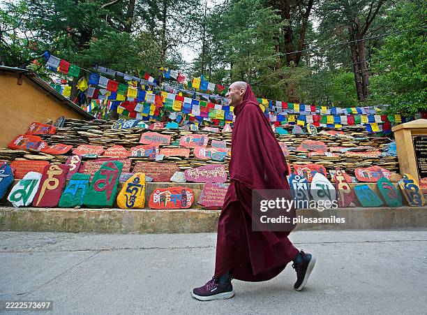 monk walking past religious memorial plaques, mcleod ganj, dharamshala, himachal pradesh, india - dharamsala stock pictures, royalty-free photos & images