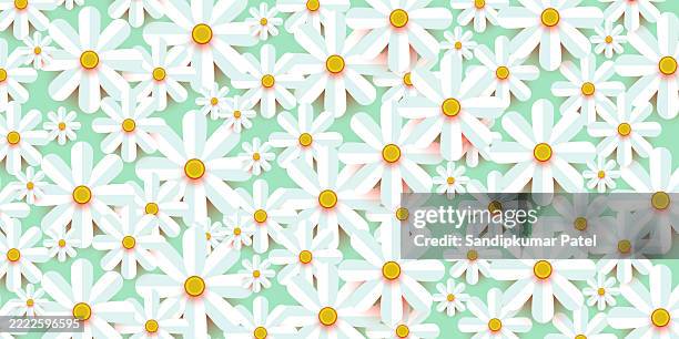 illustrations, cliparts, dessins animés et icônes de fond de fleurs de marguerite - fleur en papier